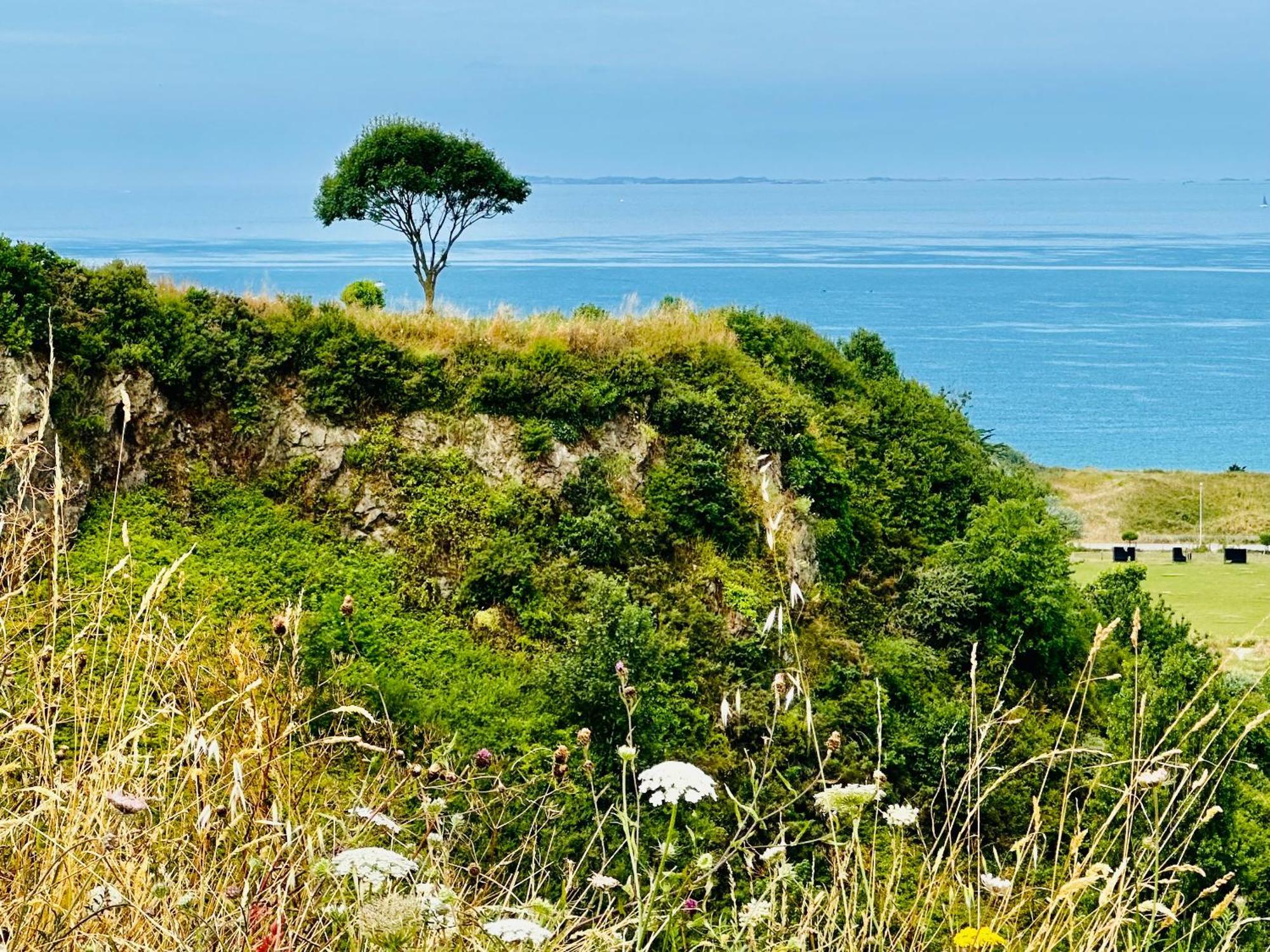 Le Refuge De Lalbatros Vert Donville-les-Bains Luaran gambar